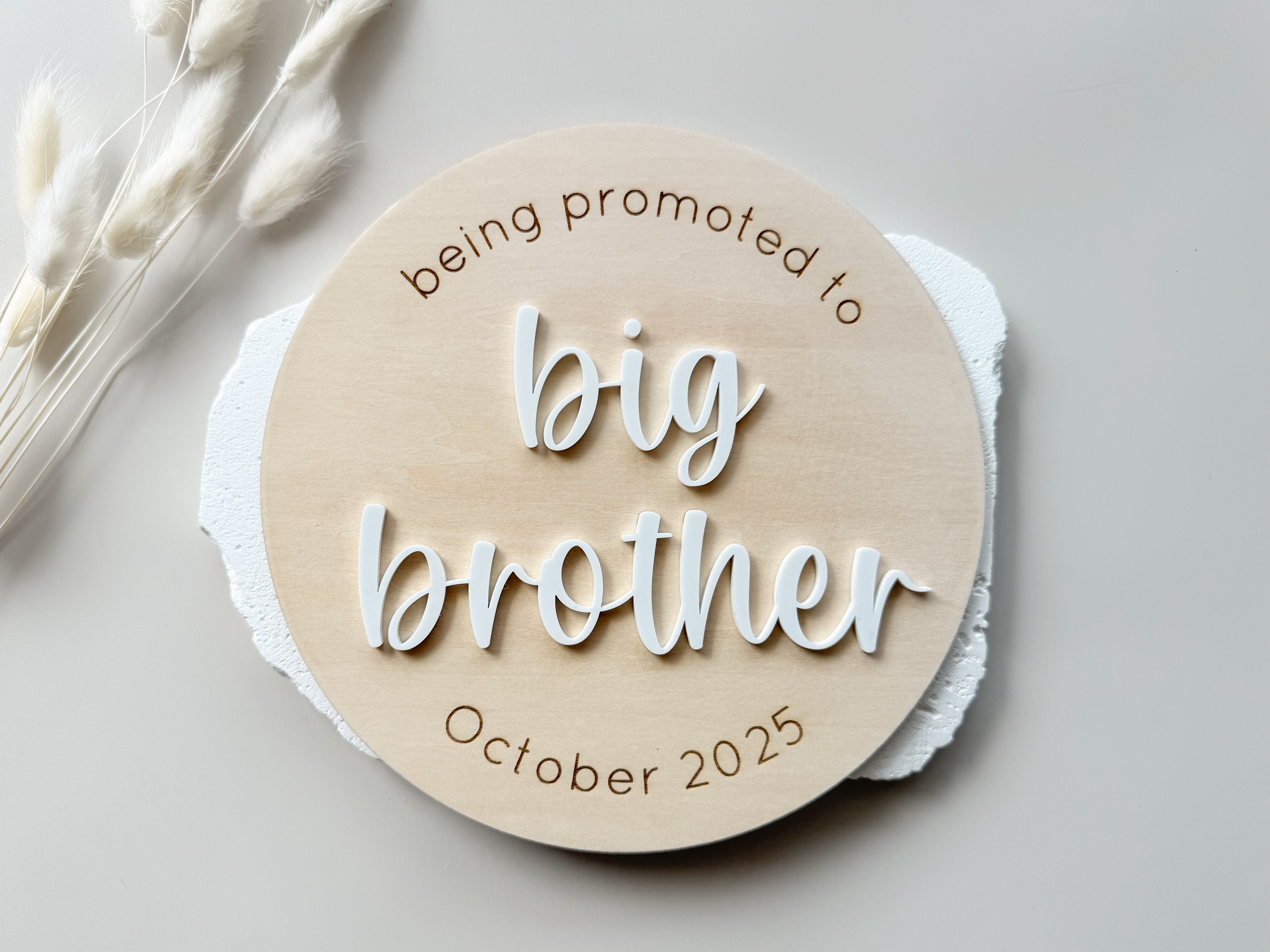 BIG BROTHER/BIG SISTER ANNOUNCEMENT PLAQUE