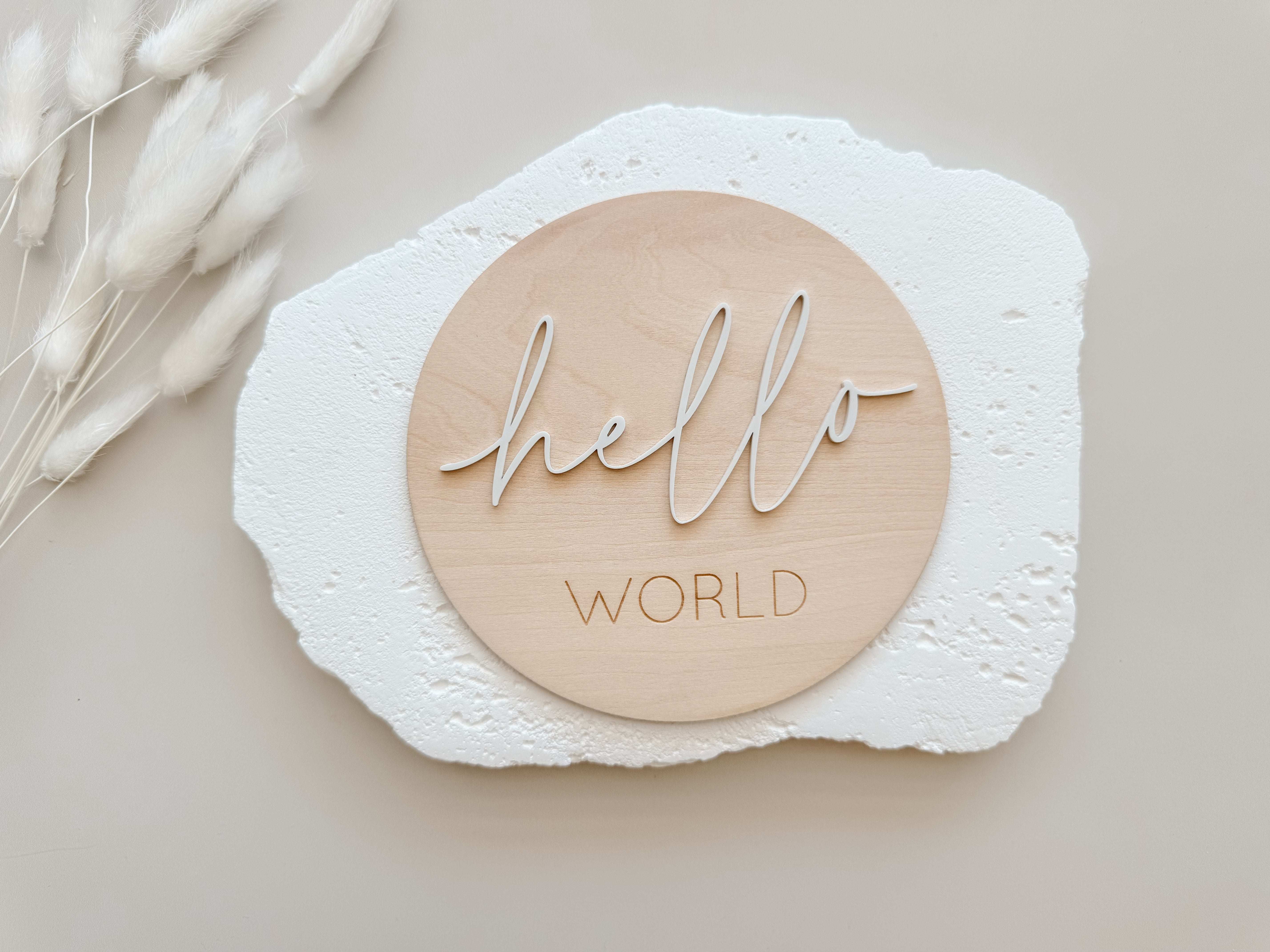 HELLO WORLD BIRTH ANNOUNCEMENT