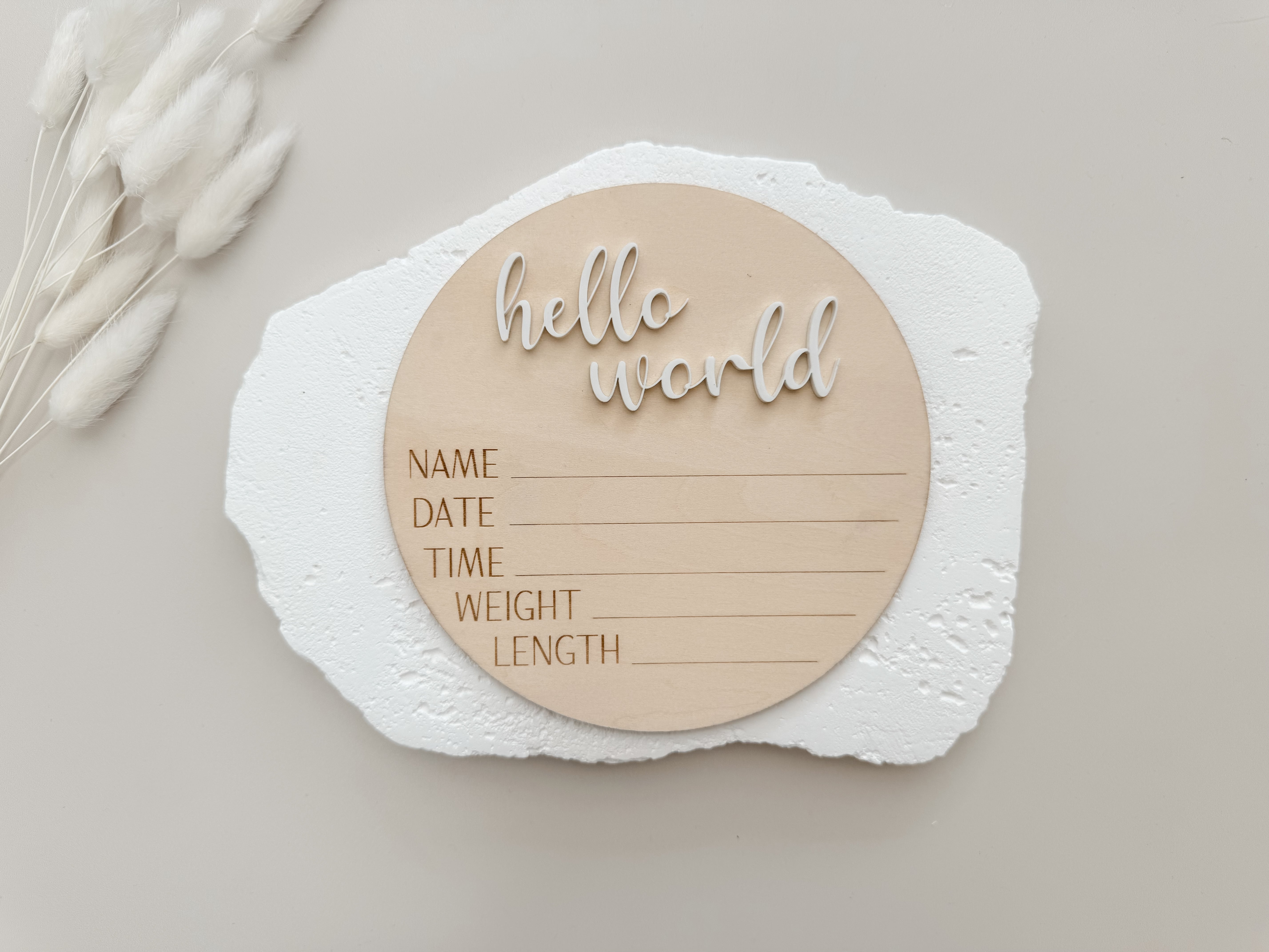 HELLO WORLD BIRTH ANNOUNCEMENT
